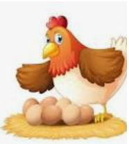 RAnimaloficial's tweet photo. SORTEO DE LAS 2 DE LA TARDE 
DOMINGO 11/04/2021
GALLINA  (25) https://t.co/7ot6jMm3YR