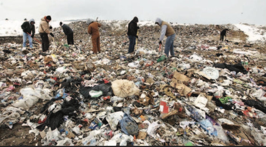 GetPromoBot's tweet image. Most conventional SWAG finds its way to the local landfill and is adding to our planet’s challenges. Want to promote your product and be eco-friendly? Use Promobot’s branded digital games! Fun and games to increase engagement and grow your brand. #promotions #MarketingTwitter