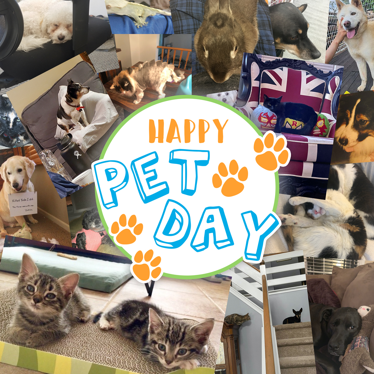 From our pets to yours, we hope everyone has a Happy Pet Day!

#PetDay2021 #NationalPetDay #PetDay