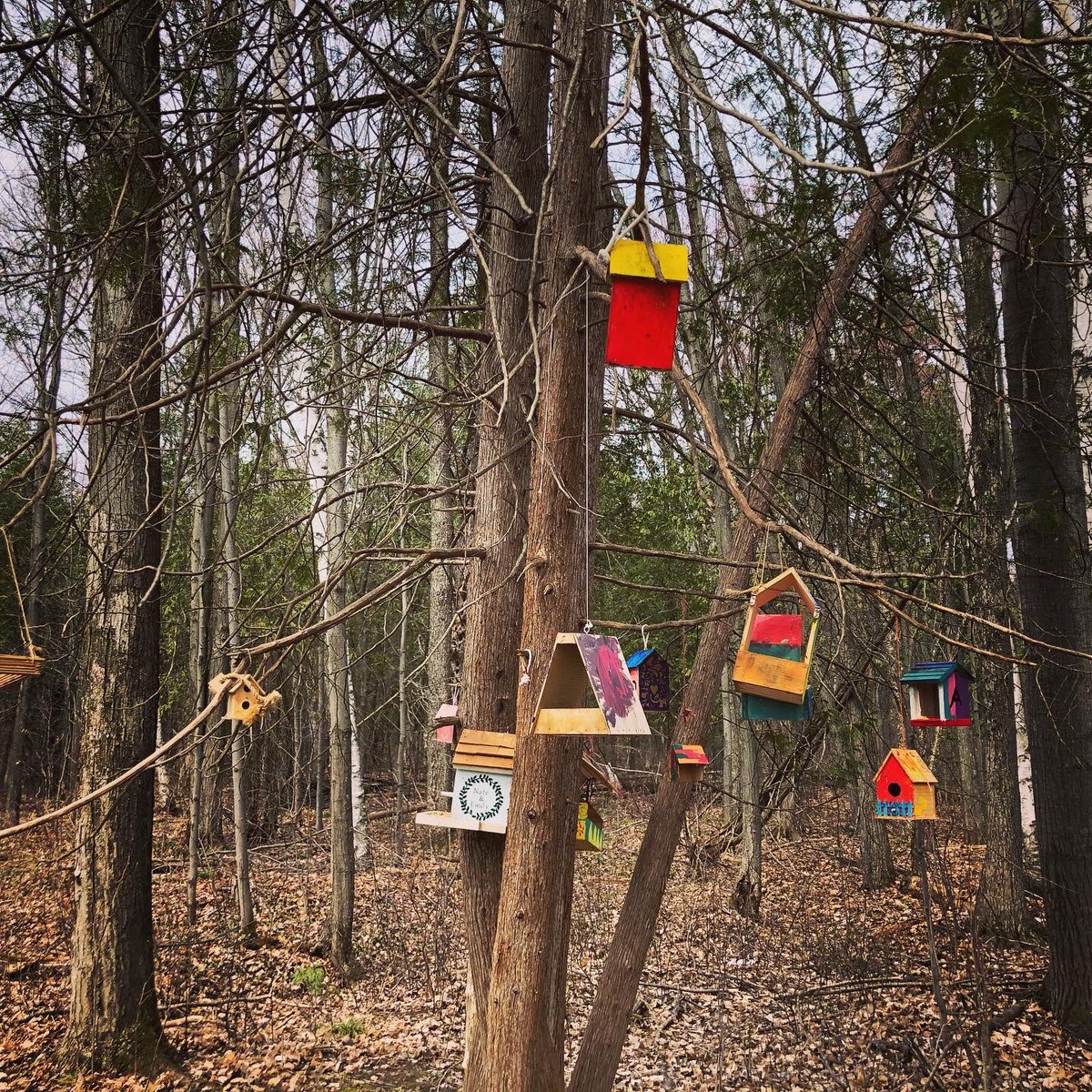 pushmans's tweet image. Mer bleu Sector trails 👣👣