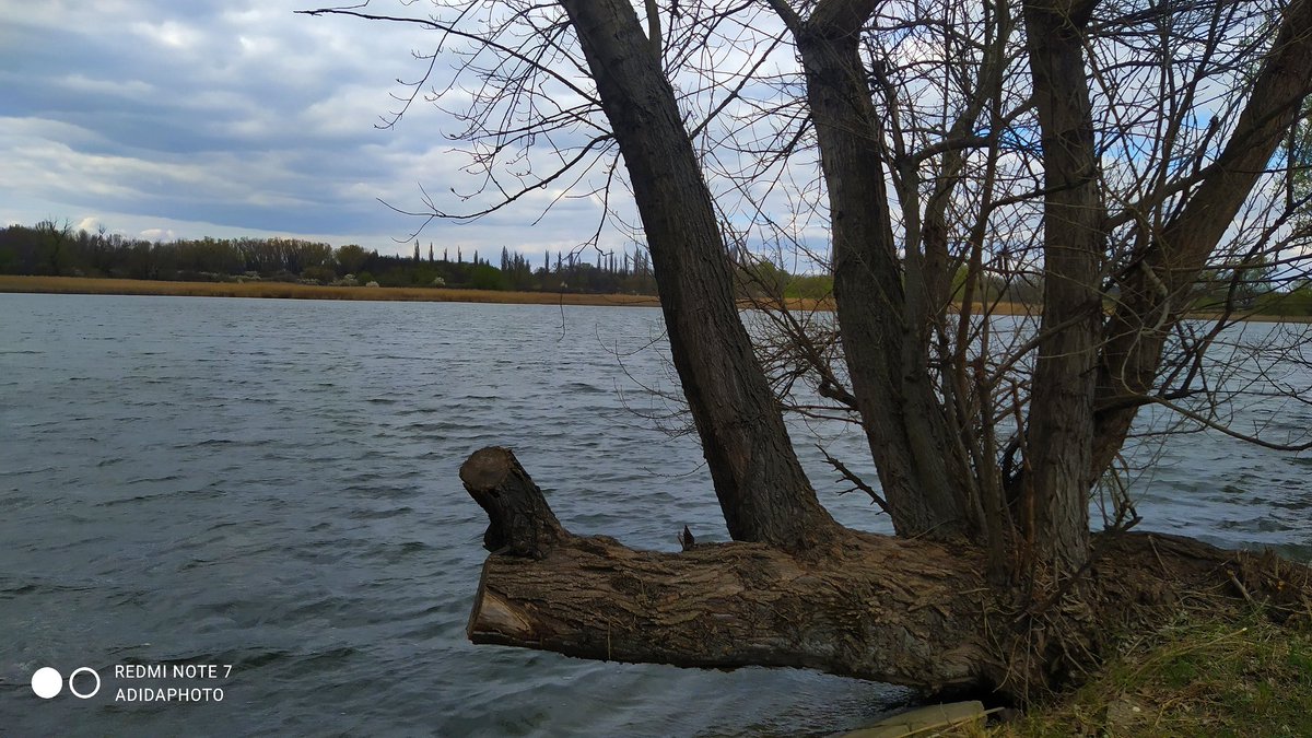 ATachova's tweet photo. #sunday #weekend #awalk #nature #NaturePhotography #Slovakia #pond #beautifulday #adidaphoto #photooftheday #photography #beautiful #ilovenature #iloveslovakia https://t.co/fpewKPoXXL