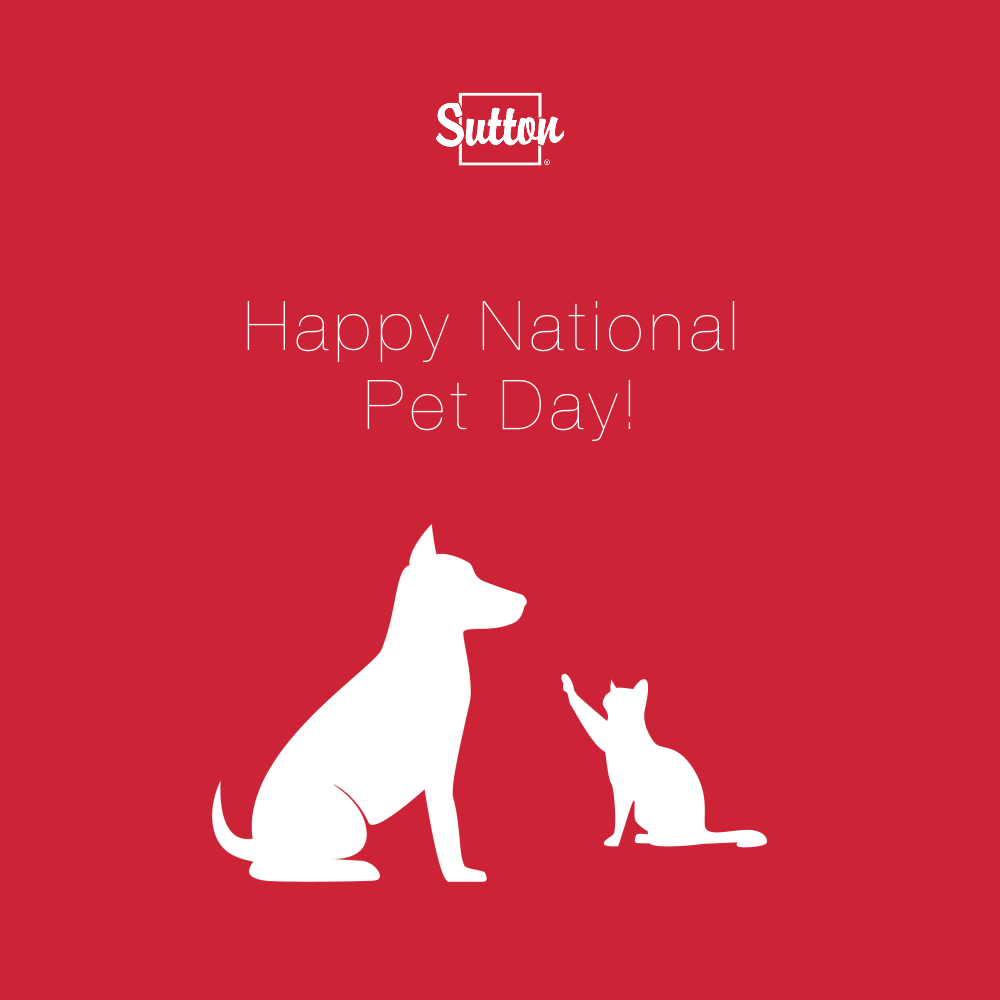 SuttonGroup's tweet photo. Here at #SuttonGroup, we want to wish you and your furry friends a paws-itively amazing pet day! 🐶 🐱⁠ Maybe it's a good day to remember all of the ways your pet makes you feel awesome and give them an extra treat or two! ❤️ 🐾 #SuttonRealty #iAmASuttonAgent⁠ https://t.co/9oP5gdQgXD