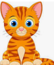 RAnimaloficial's tweet photo. SORTEO DE LAS 3 DE LA TARDE
DOMINGO 11/04/2021
GATO  (11) https://t.co/mq0ZyKwcsL