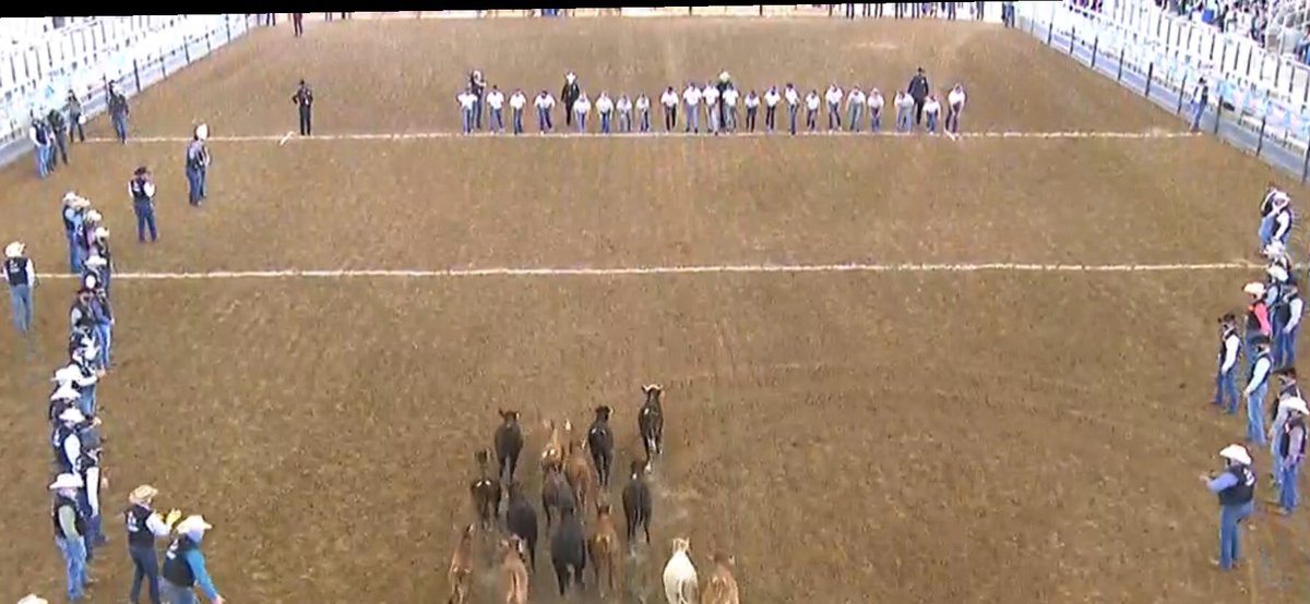 NimitzFFA's tweet photo. Congratulations Aaron Hernandez and Quinaya Tubbs for catching in the @RODEOHOUSTON calf scramble! @itsluisohh was awarded a Hard Luck certificate for his hard work in the arena. We are proud of all 4 @NimitzHS_AISD FFA scramblers, way to leave it all on the dirt #CalfScramble https://t.co/0ePusLdN3h