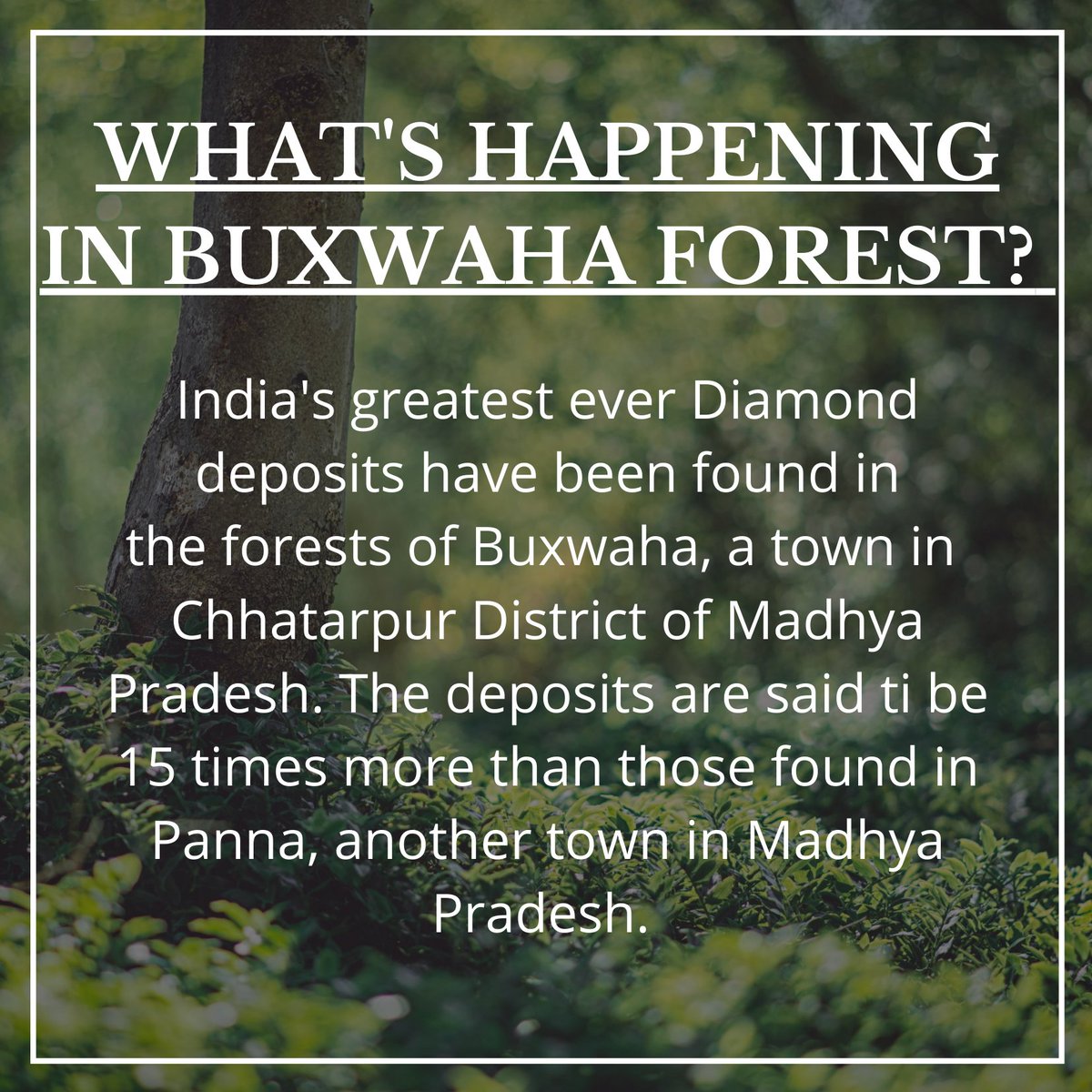 ITSNOT_TOOLATE's tweet photo. We are the only ones who need to save it for not ony our present but for future generations as well. 
#save215ktrees #saveBuxwahaforest
@MaanvinderP @ridhimapandey7 @AdityaDubey2003 @FFFIndia @ClimateFrontIND @PrakashJavdekar https://t.co/O4LEgAe2xQ