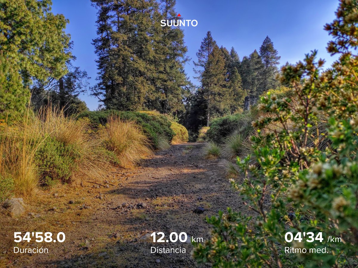 16N4C1062's tweet photo. Hoy fue un día fresco para correr. 
#SpeedRunningProject #SuuntoRun #Nike #Oakley ⛰️🌲 https://t.co/ioUhMg8Zky