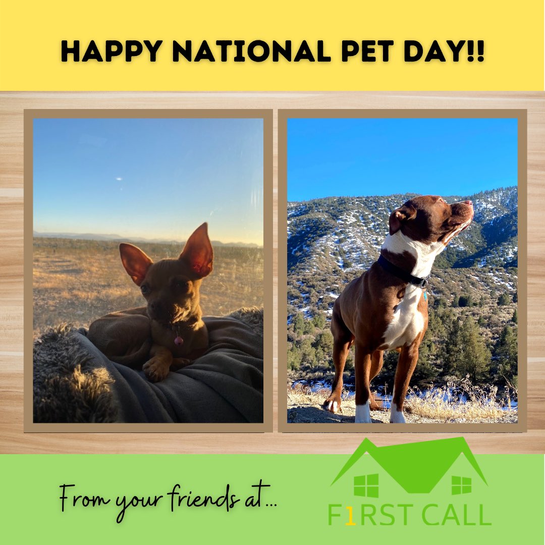 F1rstCall5555's tweet photo. Happy National Pet Day 2021 #happynationalpetday #minnesotacontractor #stormdamagerestoration #minnesota #hailstorm #winddamagerestoration https://t.co/CPRJaJUsAn