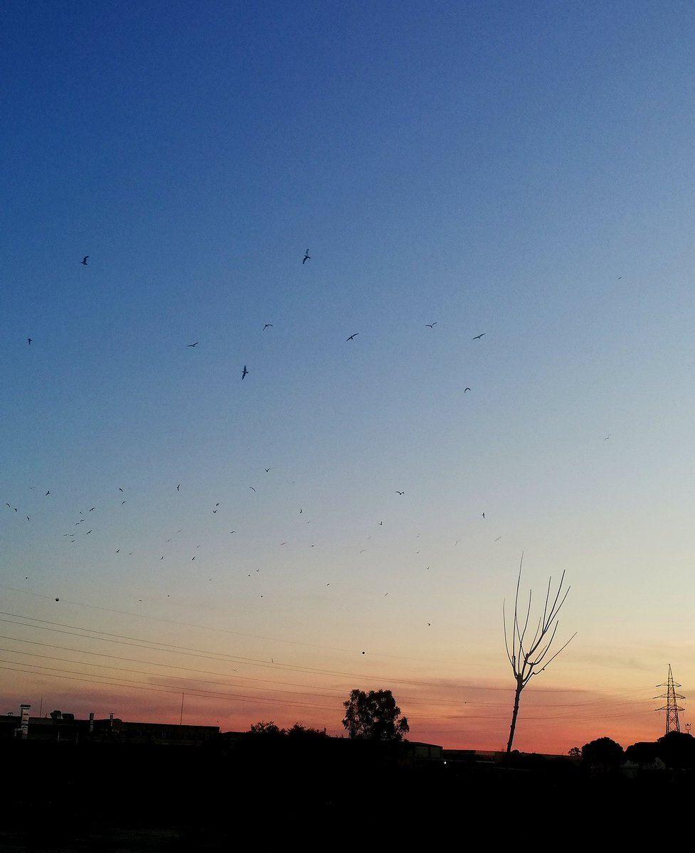 "Bir zelzelenin bir şehri yutması uzun sürmez." dedi madam. Ama o zelzelenin hazırlanması ne kadar sürer, sen onu söyle bana.