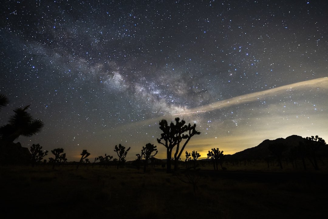 danyil_99's tweet photo. Gotta love astrophotography at Joshua tree 💙🌌✨ https://t.co/MHhUc2MGVj