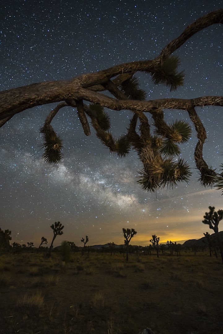 danyil_99's tweet photo. Gotta love astrophotography at Joshua tree 💙🌌✨ https://t.co/MHhUc2MGVj