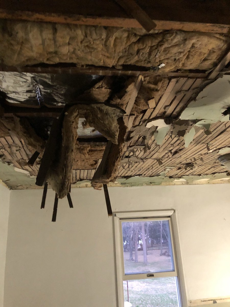 Anthony Correia tweet media