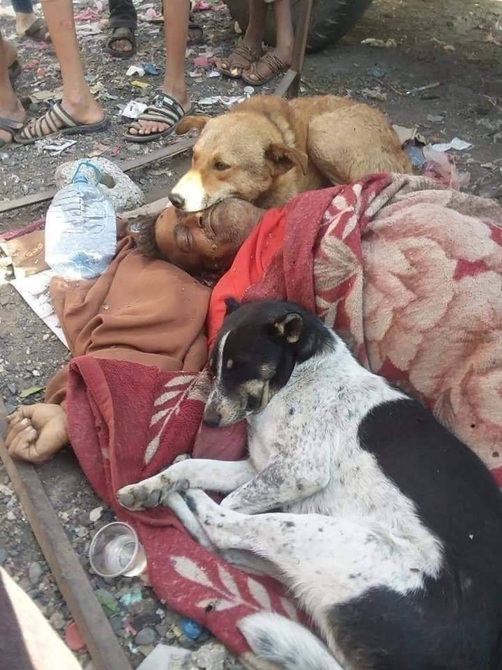 Chetinceviz's tweet photo. Size insan olmanın resmini çizemem Ama fotoğrafını gösterebilirim. https://t.co/gMG3wIM2zE