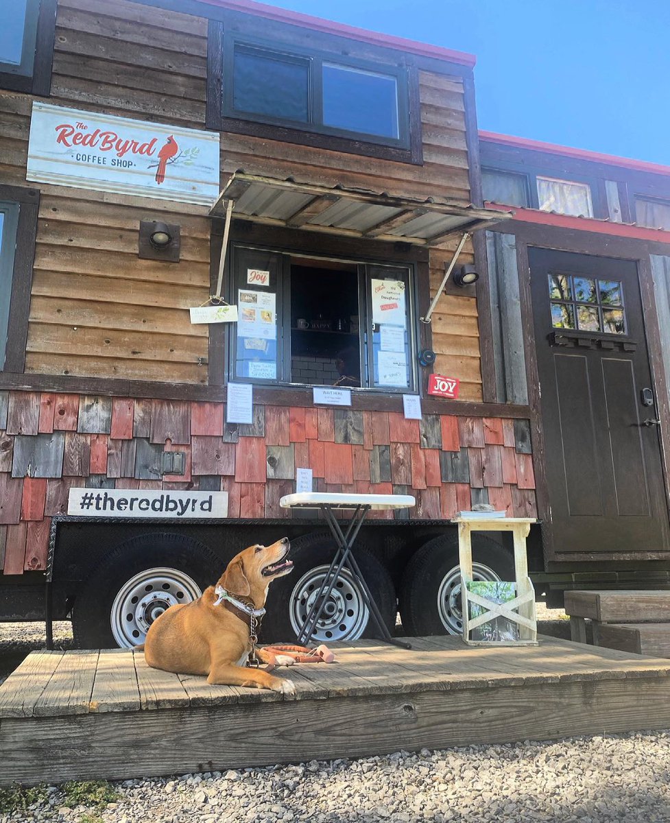 tifftycent's tweet photo. My favorite coffee shop on my favorite Sunday drive with my favorite 3 legged brown hound☕️ https://t.co/6ay5ODesXj