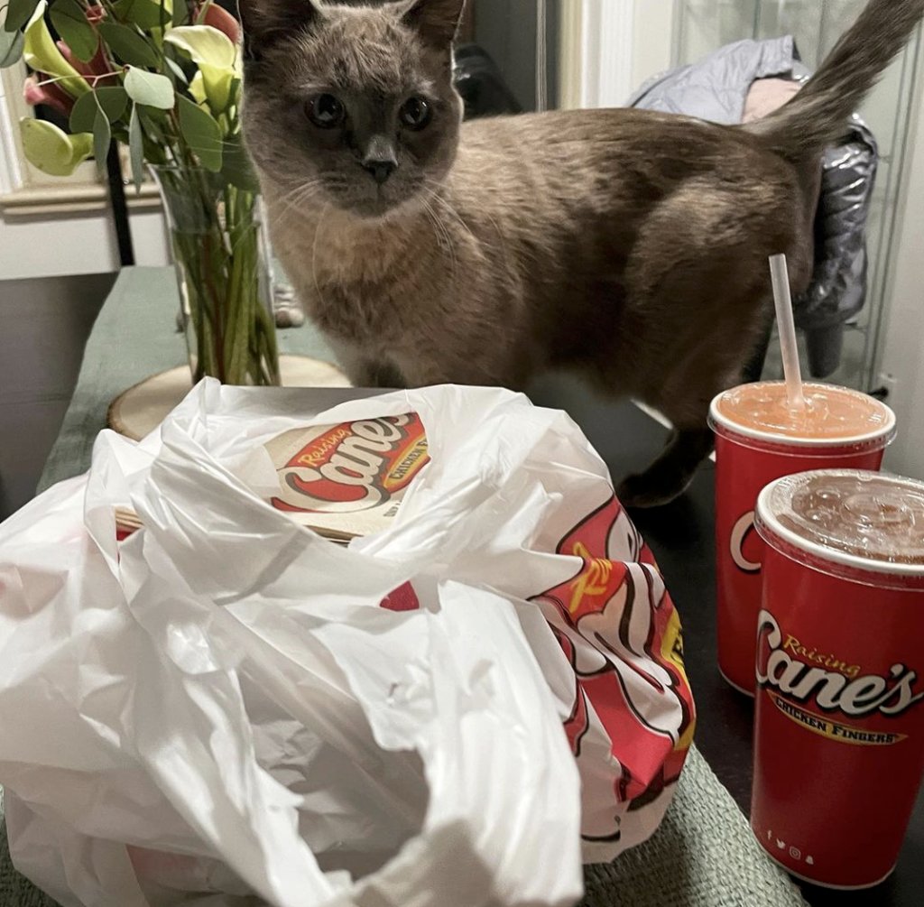 Raising Cane's tweet media