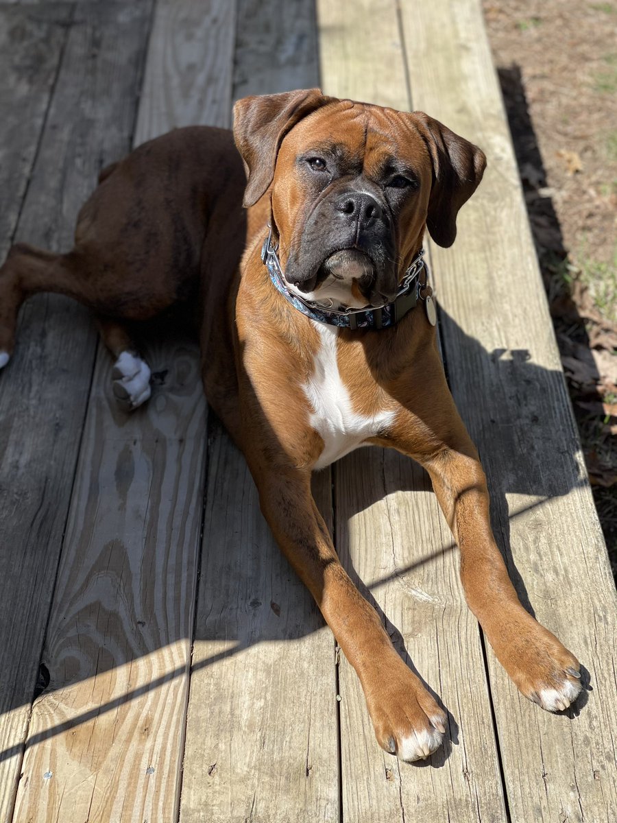 Nicole_J tweet media