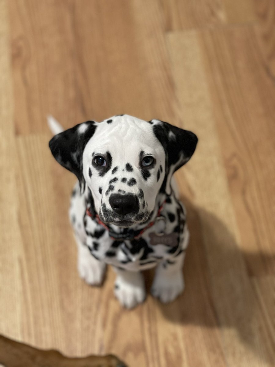 Nicole_J tweet media