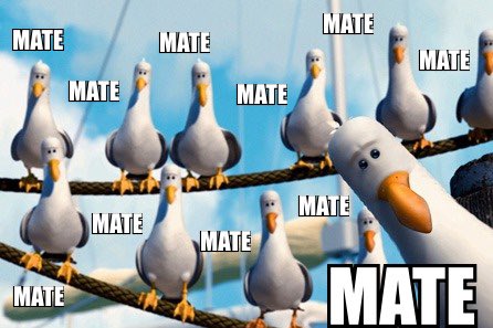 No one:

Kate and Steve every episode: 

#LineOfDuty