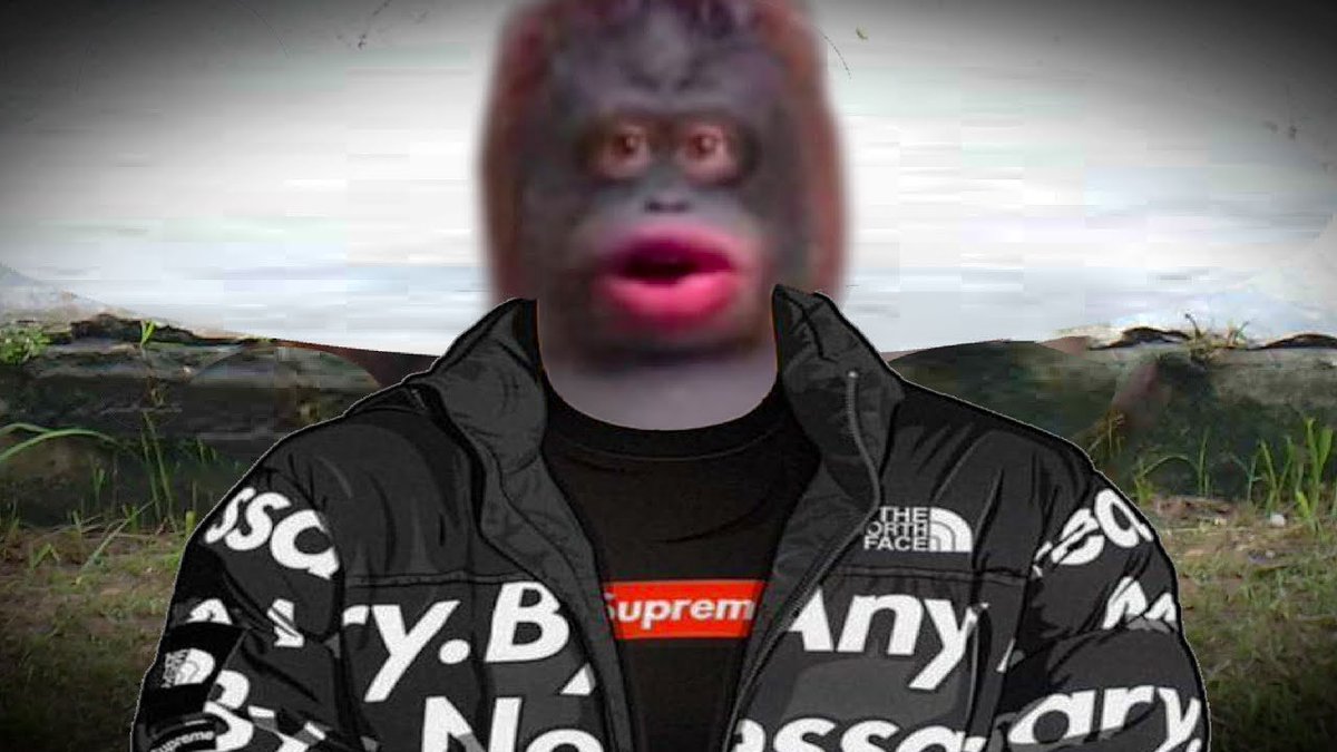 Monke Uprising tweet media