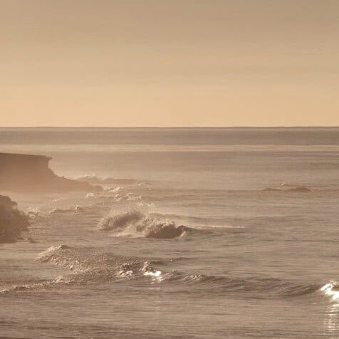 🤍 (@peonyfilms) on Twitter photo 