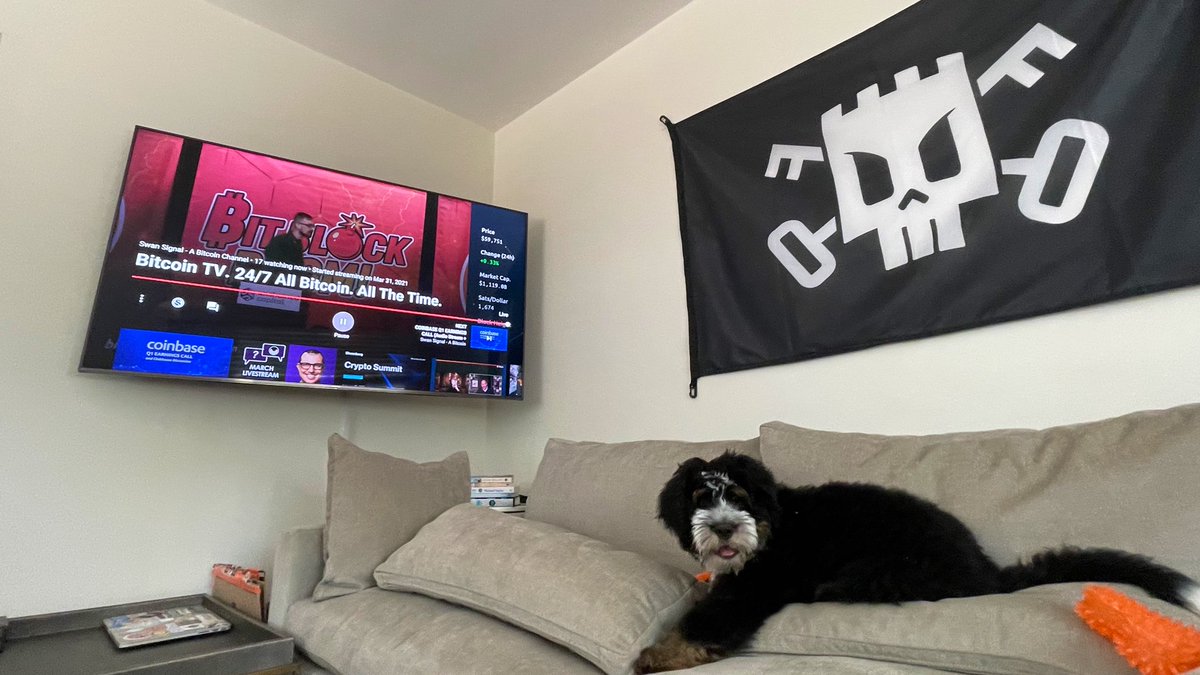 Brekkie⚒️ (@bvbtc) on Twitter photo Watching <a href="/BitcoinTV__/">Bitcoin TV 🌽📺</a> with my pup
Add BitcoinTV.network to your bookmarks if you haven’t yet... 24/7 Bitcoin content. We’ve got a fresh new look and there’s a price ticker too for all you high time preference folks.😉 Watching <a href="/BitcoinTV__/">Bitcoin TV 🌽📺</a> with my pup
Add BitcoinTV.network to your bookmarks if you haven’t yet... 24/7 Bitcoin content. We’ve got a fresh new look and there’s a price ticker too for all you high time preference folks.😉