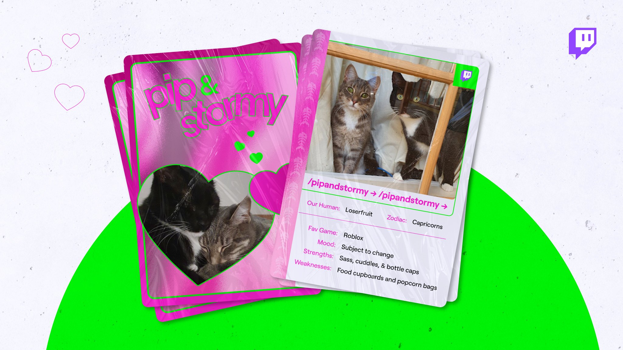 Twitch on Twitter "Meet pipandstormy the purrfect duo.…