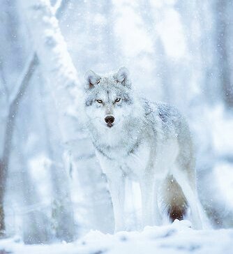 AnonymousPales1's tweet photo. Good Evening everyone 💙 
Have a pleasant evening everyone 🍁 Stay Safe ☮️ https://t.co/hU5Js2lytp