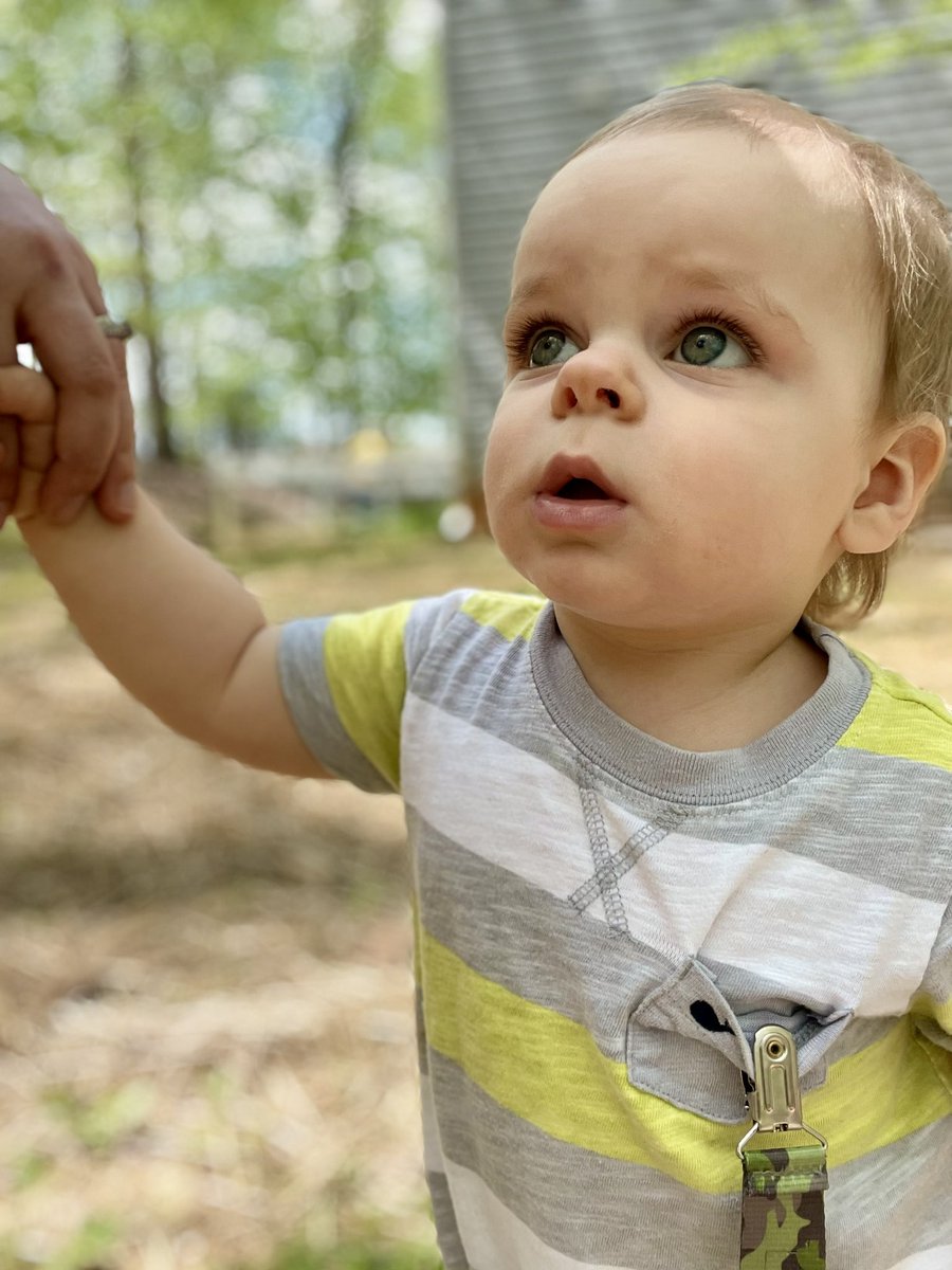 UNCSwtHrt's tweet photo. Spent some time outside with my little guy exploring and sight seeing! I’m so glad he LOVES being outside already. Sorry for the picture overload, I couldn’t pick just one! #IsaiahJames #StillRefusesToWalk #OutsideBaby #Spring https://t.co/STy5aOIaXB