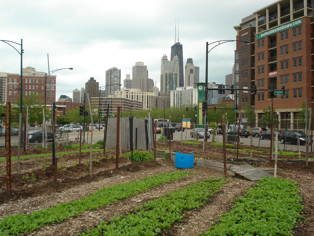 4/ Just because this won’t start happening doesn’t mean that we shouldn’t start acting now. One of the best options and most successful solutions to this problem would be to create urban farms.