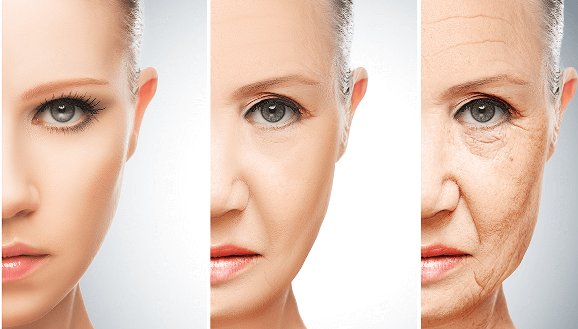 CaraSantaMaria's tweet photo. There's evidence that our bodies age in 3 distinct shifts instead of one long, continuous process.
#Aging #Health #HumanAging #Shifts #ContinuousAging #Humans
https://t.co/fL2ueW270p https://t.co/y4FhBGLvC8