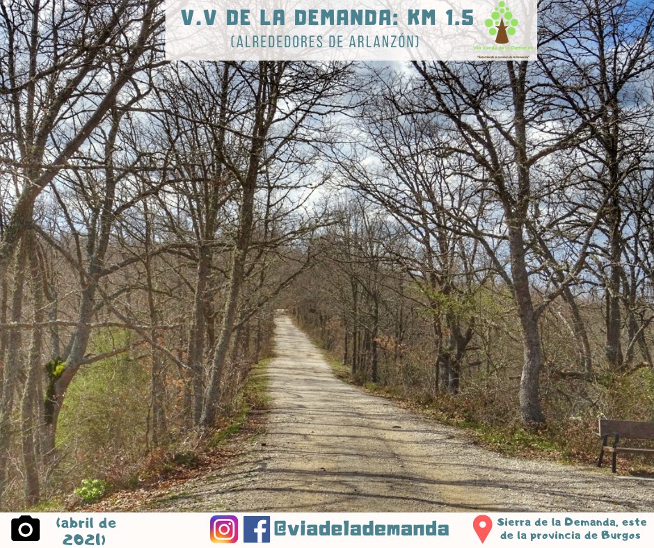 Desde el kilómetro 1.5 de la Vía Verde de la Demanda 🌳 (📍alrededores de la localidad de Arlanzón) , despedimos el día y la semana 🗓️.

(📸 foto tomada ayer)

Hastag #️⃣: #Burgos #SierradelaDemanda #ViaVerdedelaDemanda