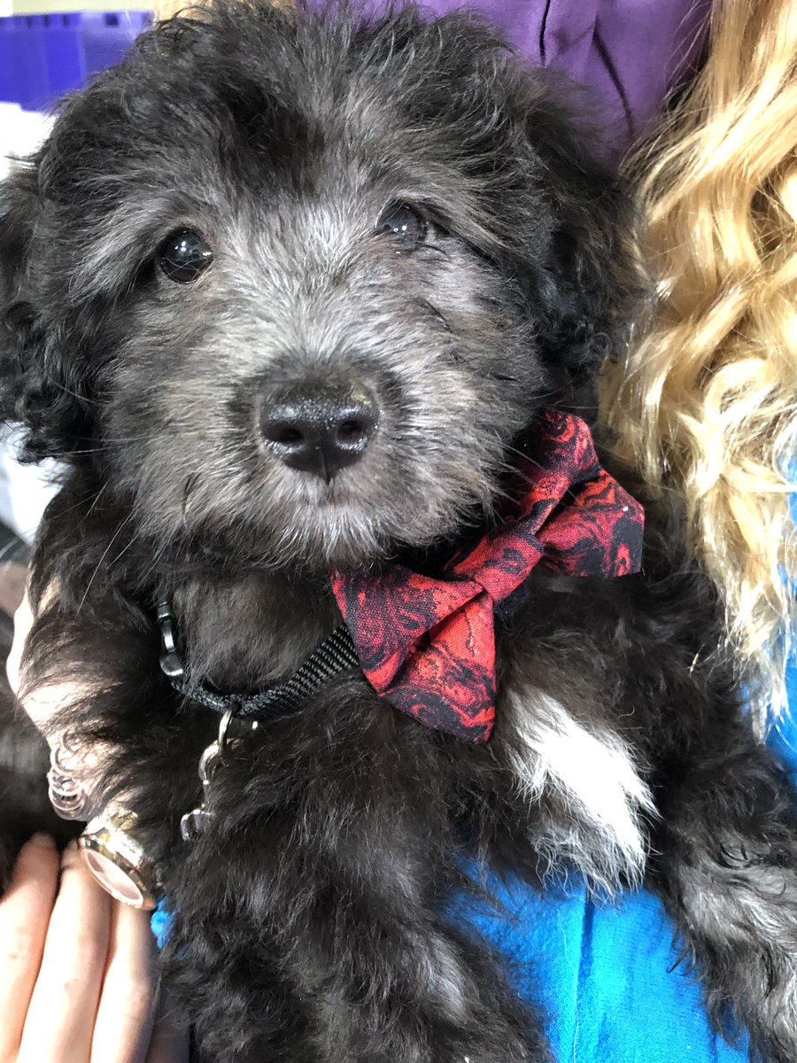 Mike Wagner tweet media