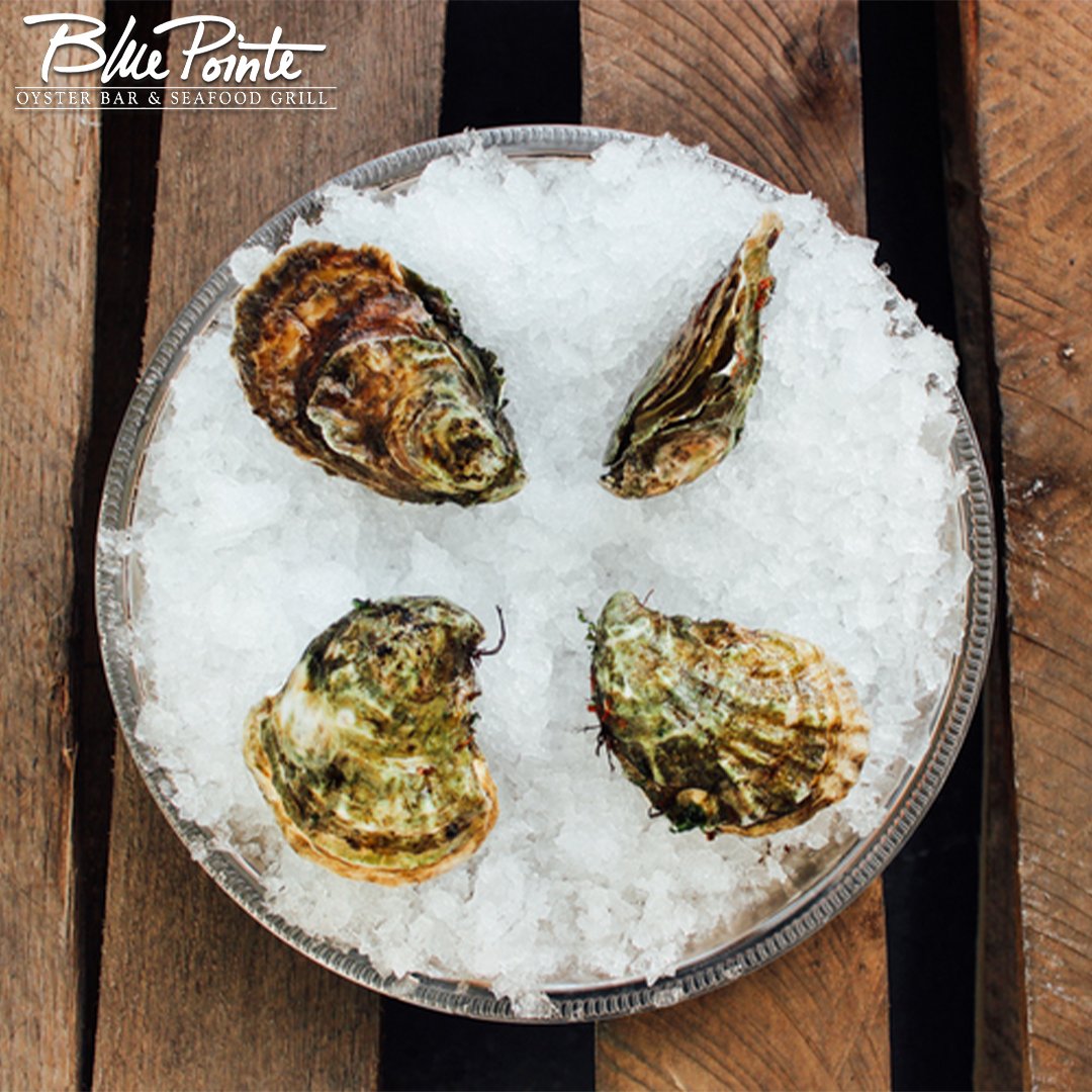 BluePointeFL's tweet image. Are we the only ones who love a plate of fresh Oysters?