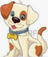 RAnimaloficial's tweet photo. SORTEO DE LAS 5 DE LA TARDE 
DOMINGO 11/04/2021
PERRO (27) https://t.co/p3wjKu7cLF