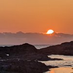 ツイートに含まれる画像