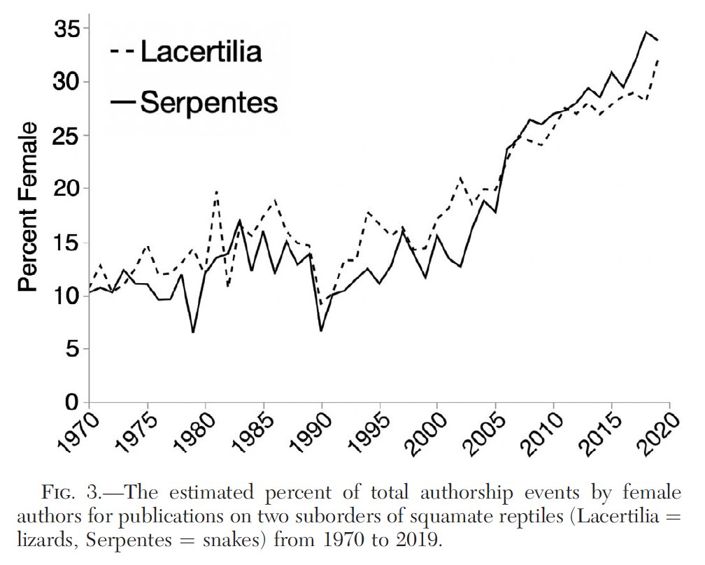 We also looked at papers on lizards and snakes for the past 50 years (why only &? Because it took FOREVER- read all about it in the paper) and WOW! Authorship by women has risen from about 10% to 35% in just those years. 3/