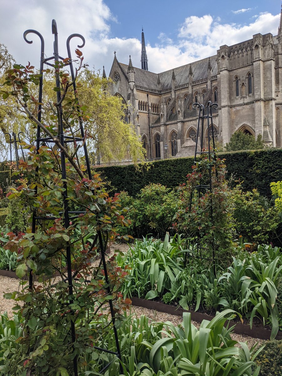 Lovely to see four of our bespoke solid metal scrolled  #obelisks in #Arundelcastle
Grounds today.
These are #available in various sizes & finishes 
#climbers #gardens #rose
#plants #gardening #plantsupports 
#rosearch 
#Arundel #lewes #gardenfurniture
#gardenersworld 
#gazebo