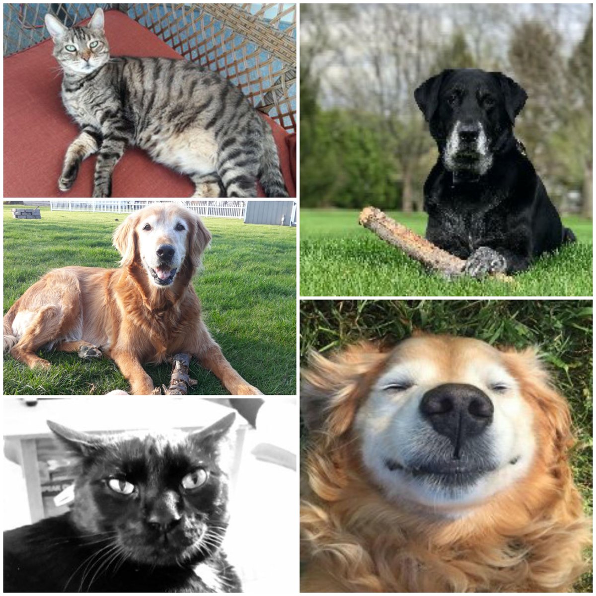 ShannonJ tweet media