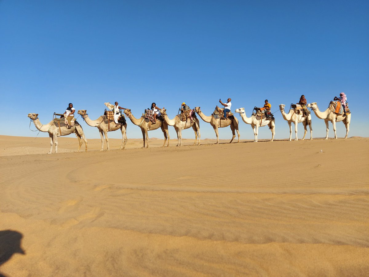 Why I was not holding on 😆😆 I don't know 
2nd on the ride 🥰

Such a beautiful experience 

#TheModernStraatnate
#Swakopmund 
#CamelRide
#Namibis