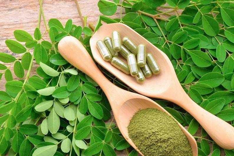Moringa oleifera is used as a galactagogue, but has not been rigorously tested for this purpose. A new double-blind placebo-controlled RCT will test whether it can truly increase #breastmilk volume: pubmed.ncbi.nlm.nih.gov/33822798/