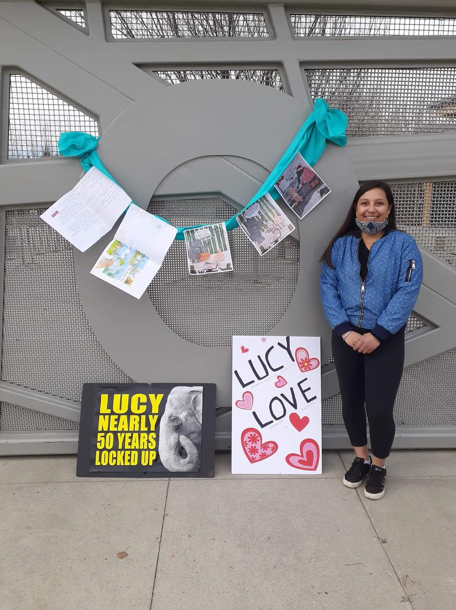 anki4ani's tweet photo. @cher @AlantaRich for Lucy 💖
#EleXperts4Lucy #FreeLucy #Lucy2sanctuary #SaveAllElephants #Chainfree2021 https://t.co/O3cTrXxAnn