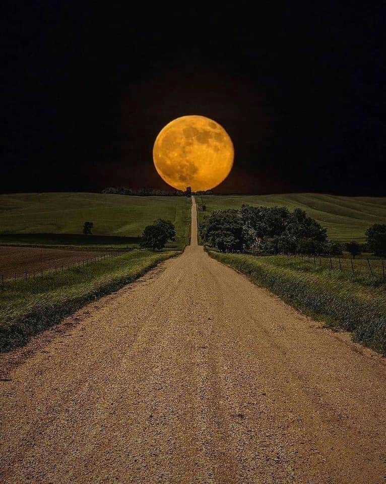 NA_Preciousss's tweet photo. -
Giant Moon
#moon #dearmoon #dearmooncrew #dearmooncrewhelp #dearmoonproject #MZ #ElonMusk #elonmuskday #SpaceX #moon2023 @yousuckMZ https://t.co/qmabYQoaSY