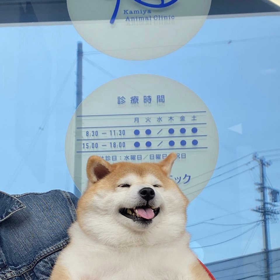 who’s a good                 you’re a 
         boy?                     good boy ¨̮