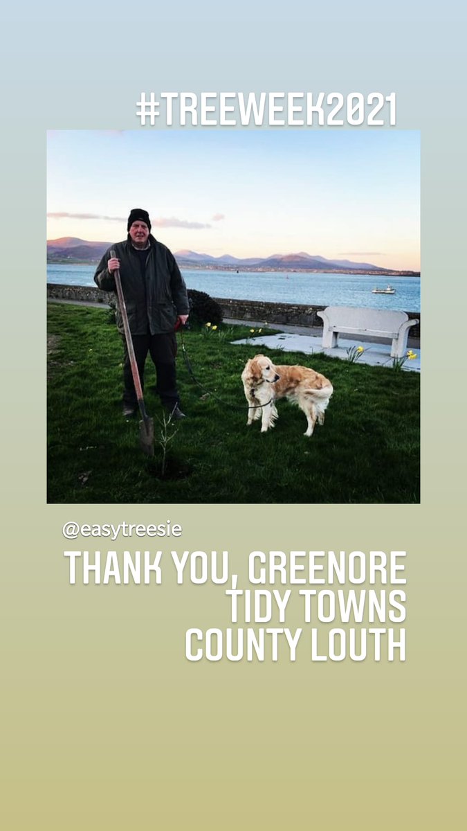 EasyTreesIE's tweet photo. Go #TeamtreesIE thanks to all the #treeweek2021 #treeplanters! https://t.co/bfka1IfTxj