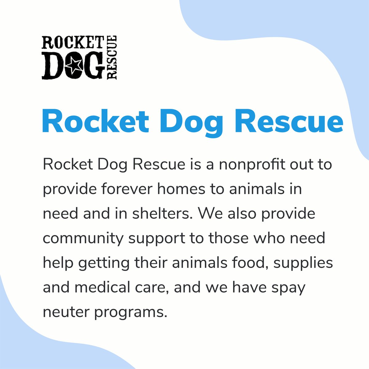 Happy National Pet day to you and your furry loved ones! 

Let's celebrate this year's National Pet Day by supporting <a href="/pasadenahumane/">Pasadena Humane</a> <a href="/petsinneed1965/">Pets In Need</a>  @RocketDogRescueDog as they help provide forever homes and care for animals in need.