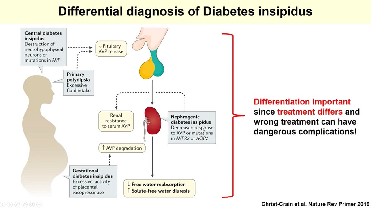 Diabetes insipida dieta