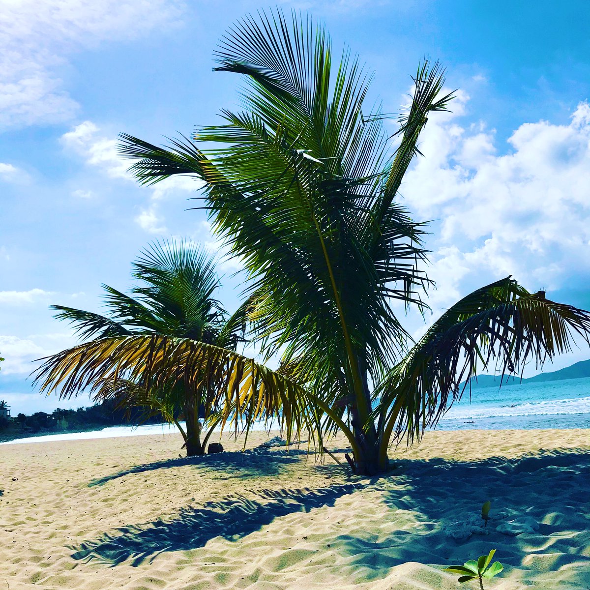 This is what Sunday’s are for. 

#sundayvibes #Chillout #bvi #beaches #islandlife