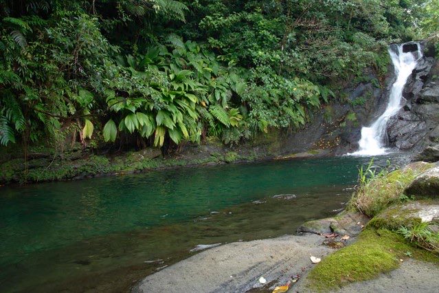 Unfortunately there is not much information on the Grande Soufrière Hills of Dominica. It is however, home to many natural attractions such as Boli Falls and Citrus Creek.