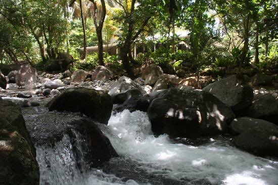 Unfortunately there is not much information on the Grande Soufrière Hills of Dominica. It is however, home to many natural attractions such as Boli Falls and Citrus Creek.