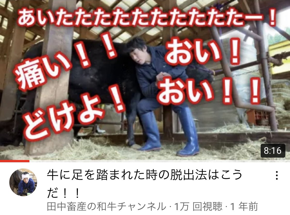 100以上 頭絡 付け方 牛 頭絡 付け方 牛 Mbaheblogjpsodc 100以上 頭絡 付け方 牛 頭絡 付け方 牛 Mbaheblogjpsodc