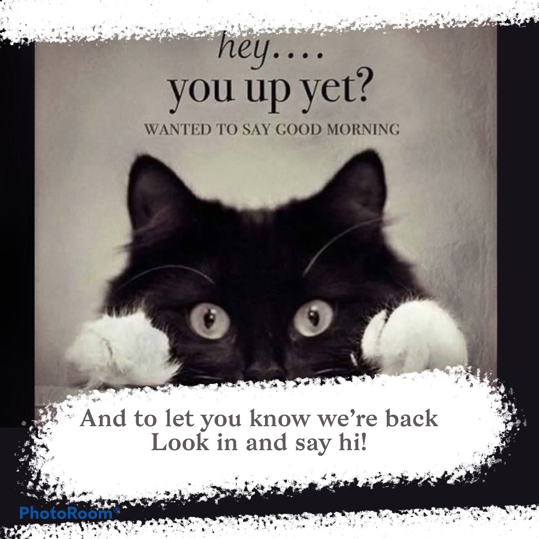 Nantucket_Shop's tweet image. 